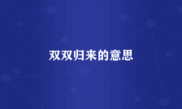 双双归来的意思