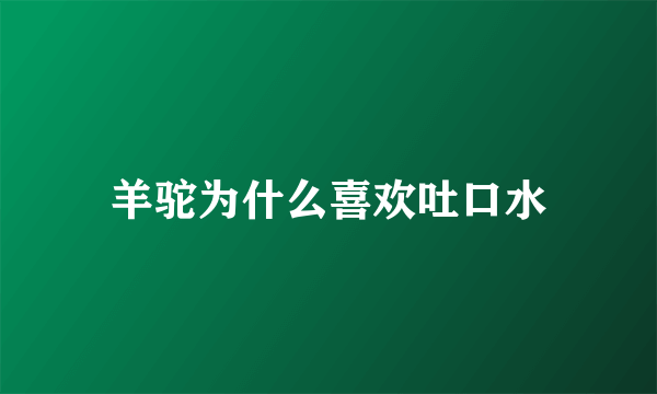 羊驼为什么喜欢吐口水