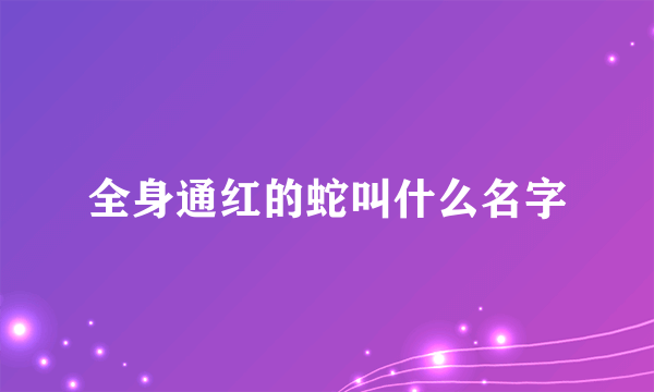 全身通红的蛇叫什么名字