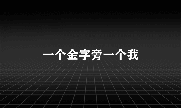 一个金字旁一个我