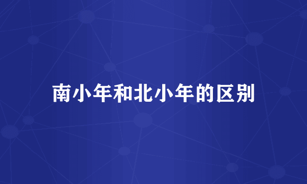 南小年和北小年的区别