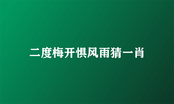 二度梅开惧风雨猜一肖