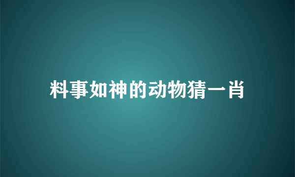 料事如神的动物猜一肖