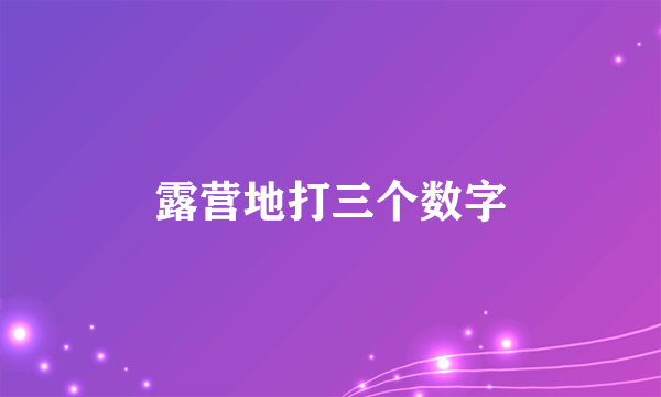 露营地打三个数字