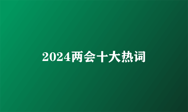 2024两会十大热词