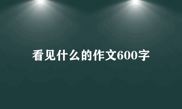 看见什么的作文600字