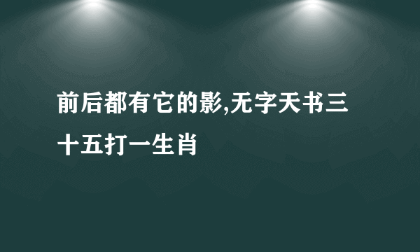 前后都有它的影,无字天书三十五打一生肖