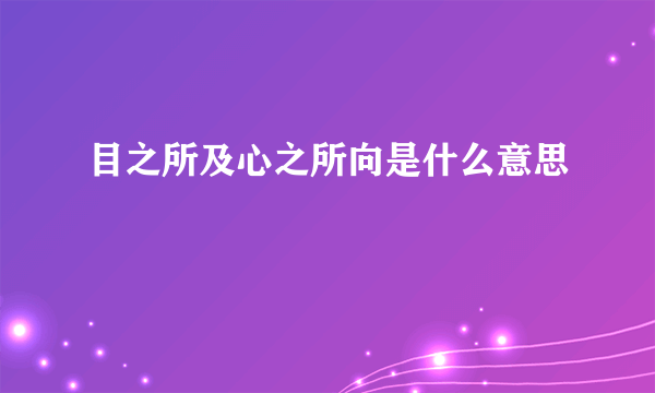 目之所及心之所向是什么意思