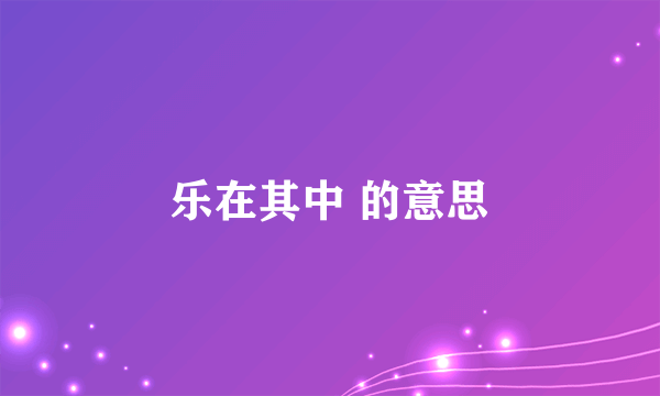 乐在其中 的意思