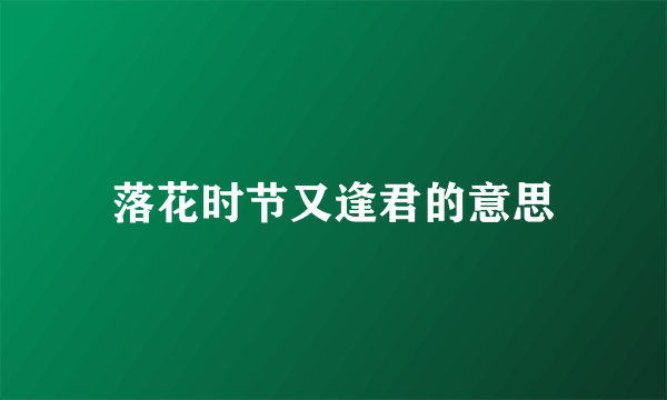 落花时节又逢君的意思