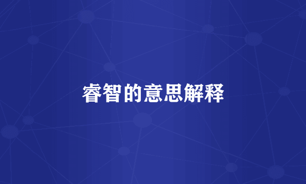 睿智的意思解释