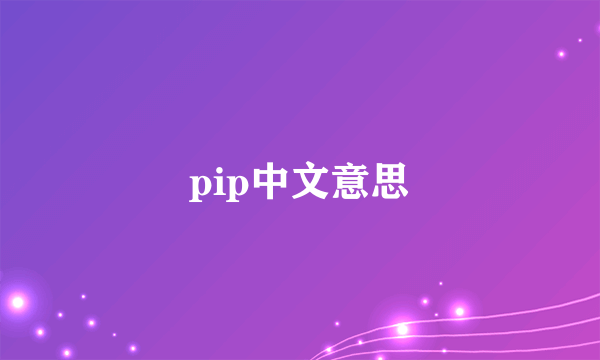pip中文意思