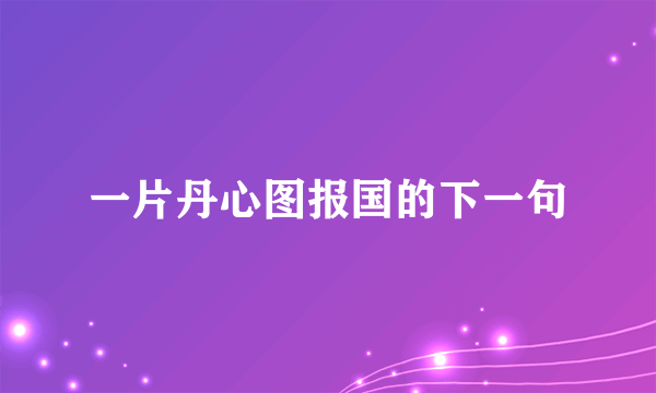 一片丹心图报国的下一句