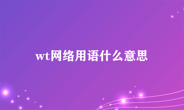 wt网络用语什么意思