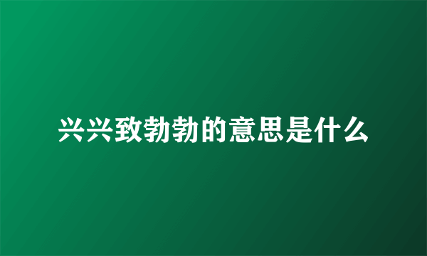 兴兴致勃勃的意思是什么