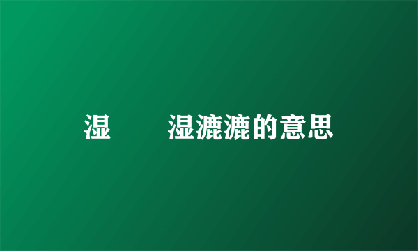 湿溚溚湿漉漉的意思