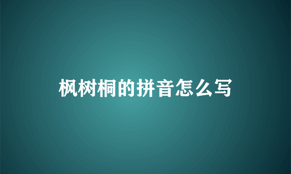 枫树桐的拼音怎么写