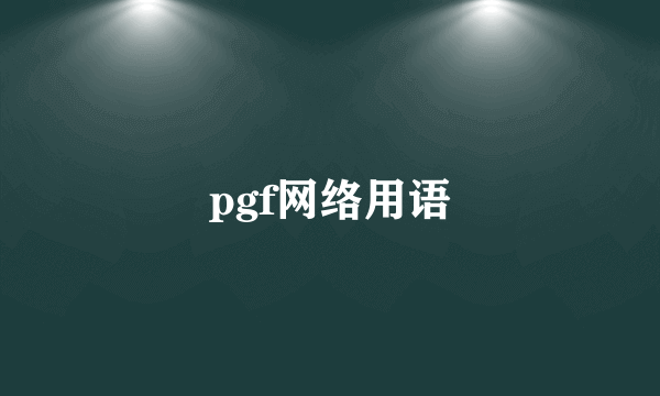pgf网络用语
