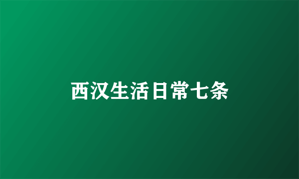 西汉生活日常七条