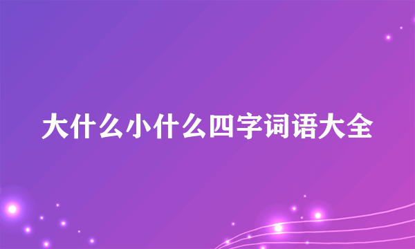 大什么小什么四字词语大全