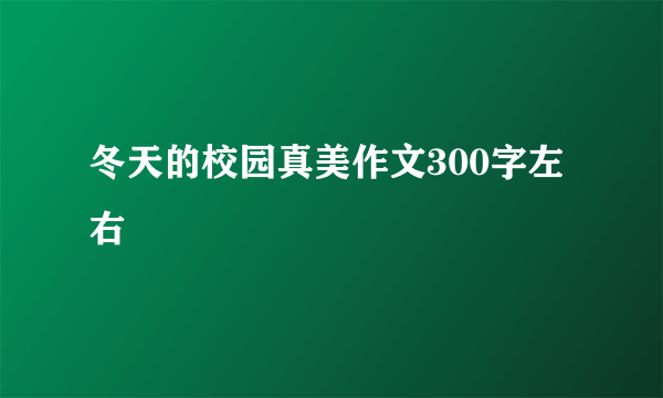 冬天的校园真美作文300字左右