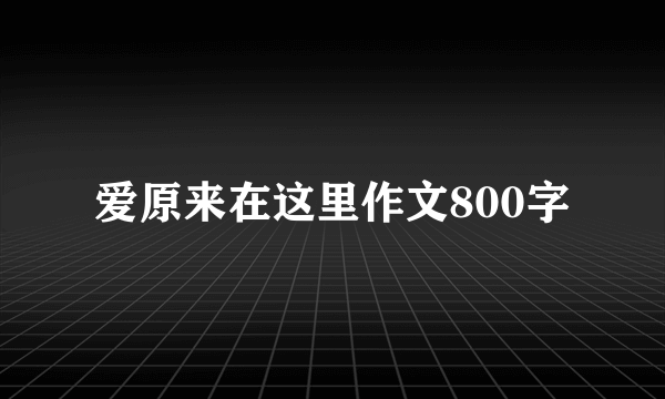 爱原来在这里作文800字
