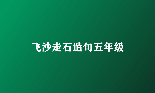 飞沙走石造句五年级