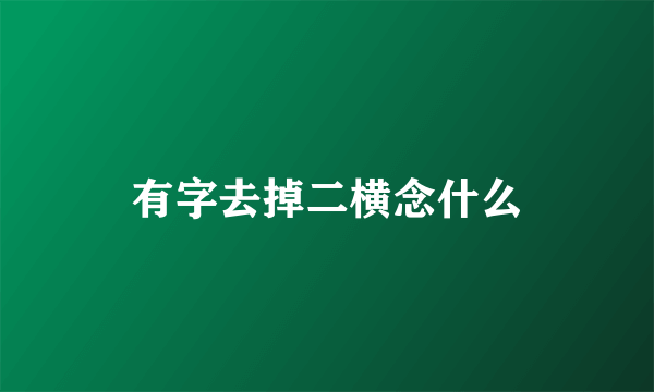 有字去掉二横念什么