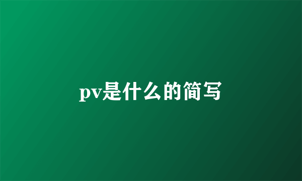 pv是什么的简写