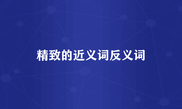 精致的近义词反义词