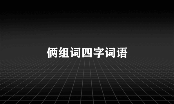 俩组词四字词语