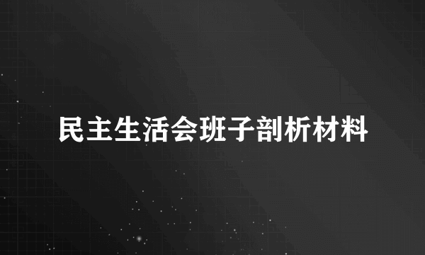 民主生活会班子剖析材料