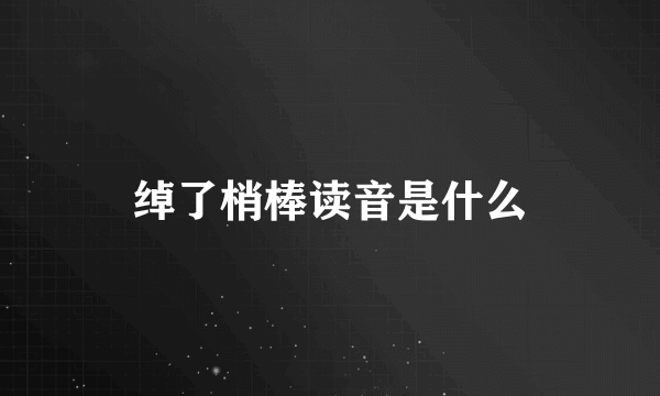 绰了梢棒读音是什么