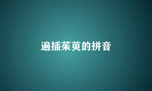 遍插茱萸的拼音