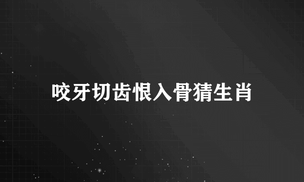 咬牙切齿恨入骨猜生肖