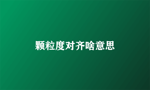 颗粒度对齐啥意思