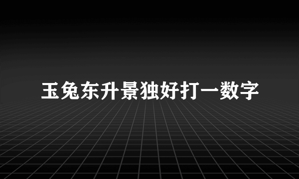 玉兔东升景独好打一数字