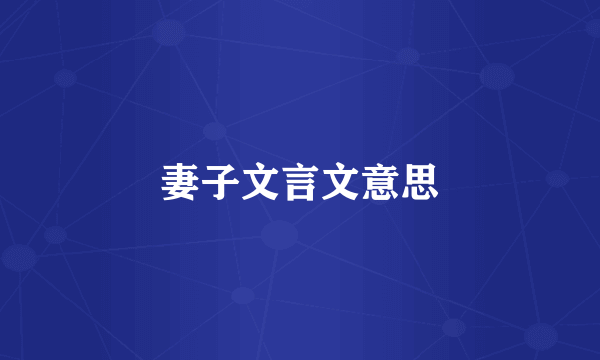 妻子文言文意思