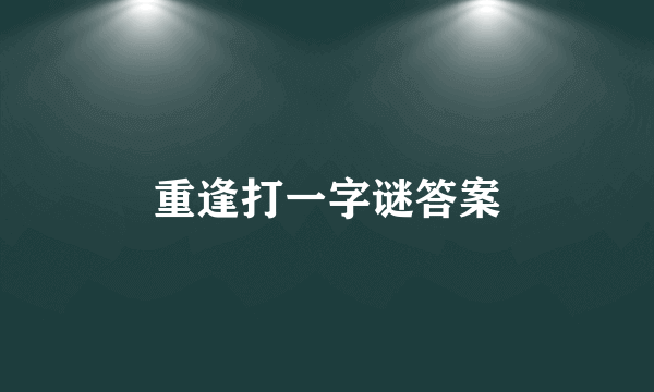 重逢打一字谜答案