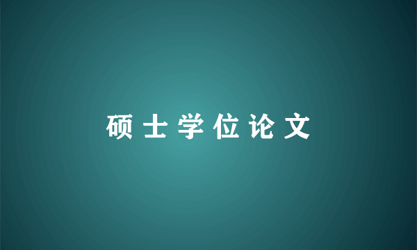 硕 士 学 位 论 文