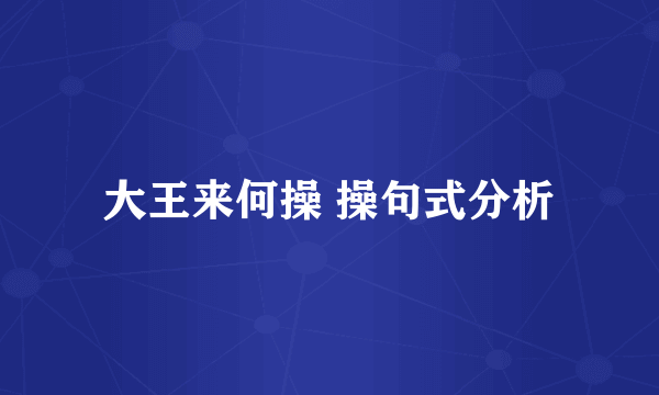 大王来何操 操句式分析