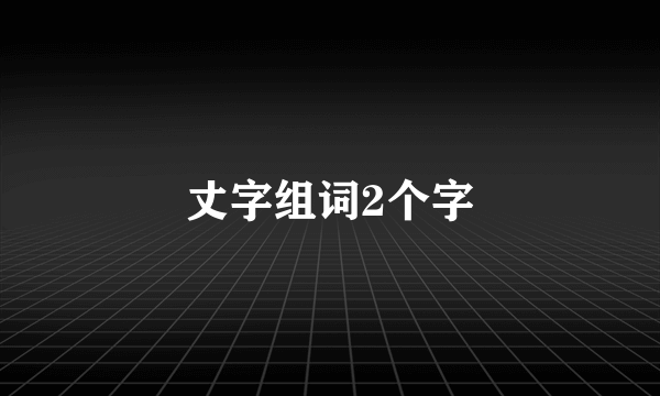 丈字组词2个字