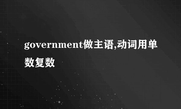 government做主语,动词用单数复数
