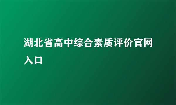 湖北省高中综合素质评价官网入口