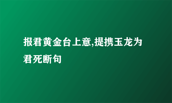 报君黄金台上意,提携玉龙为君死断句