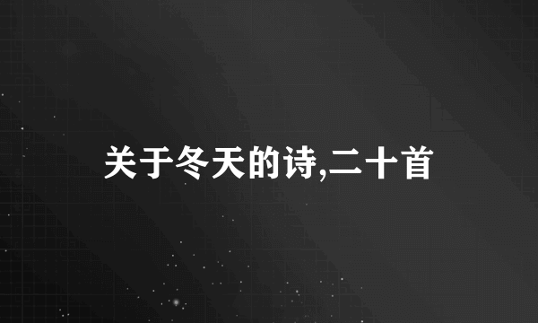 关于冬天的诗,二十首