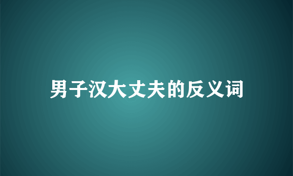 男子汉大丈夫的反义词