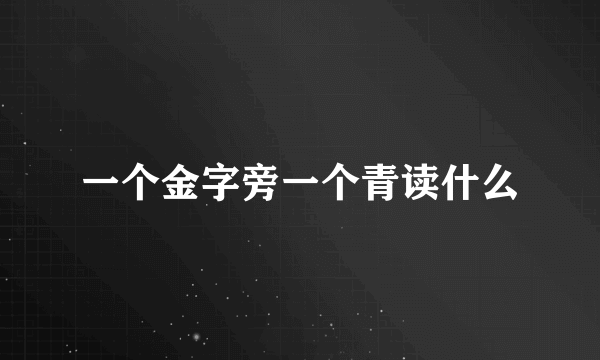 一个金字旁一个青读什么