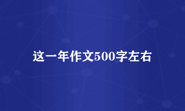 这一年作文500字左右