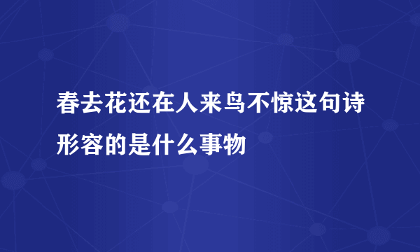 春去花还在人来鸟不惊这句诗形容的是什么事物